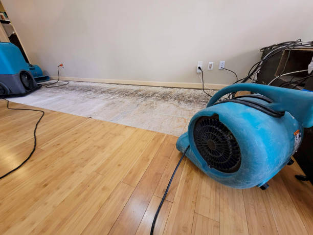 Professional Basement Flood Cleanup technician working in Tecumseh, NE